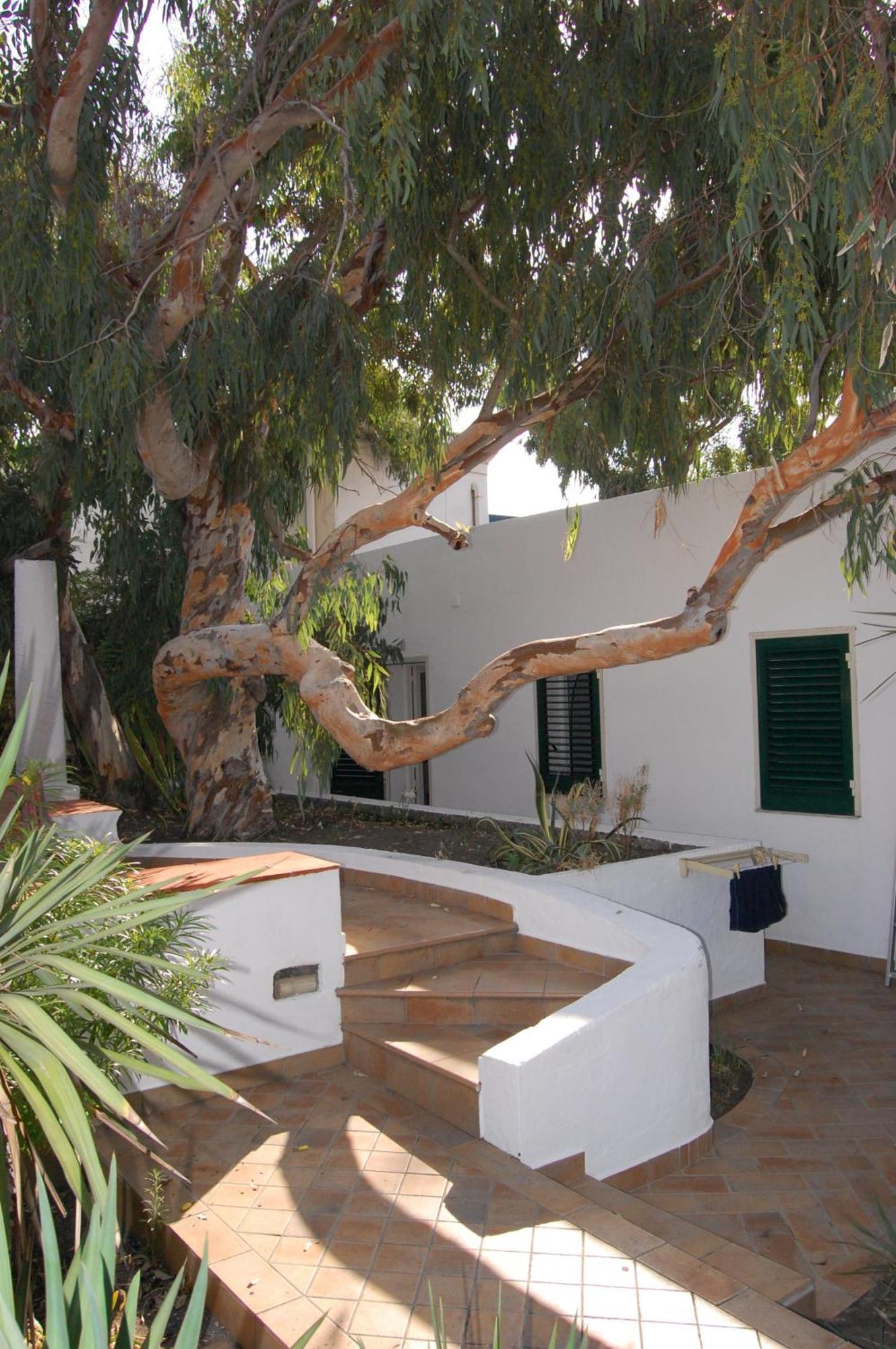 Hotel Conti Vulcano  Exterior photo